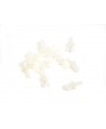 1448 Kit rivetti in plastica per fissaggio guarnizione art.1316 (12pz)