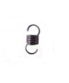Camshaft spring