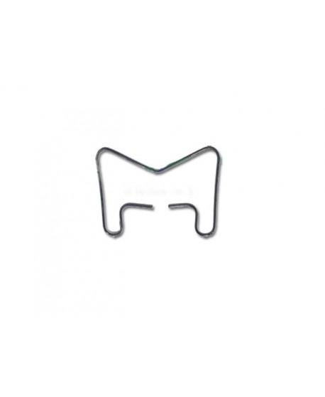 095 Molla cuscinetto spingidisco vecchio modello (fino al 04/1982)