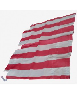 Convertible top awning with white-burgundy stripes Dyane prod. NPM