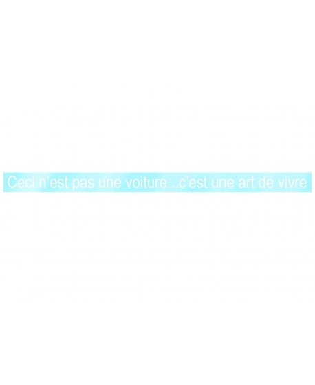 Adesivo "ceci n'est pas" - corsivo bianco su fondo trasparente