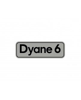 Sticker "Dyane 6" silver background