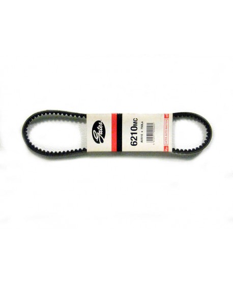 Alternator belt