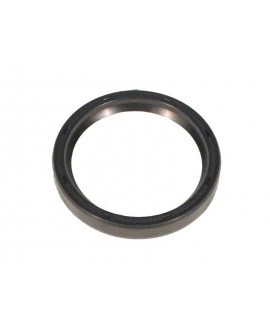 Rear oil seal 602cc (69x56x10)