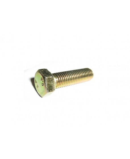 Screw diameter M7x25 (hex head)