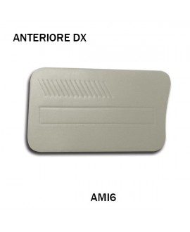 Door front panel (right side) gris for AMI6