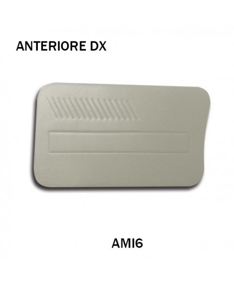 Door front panel (right side) gris for AMI6