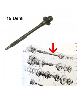 Front side gearbox main shaft, 19 teeth (new model)