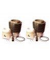 Pistons-cylinders 602cc kit Perfect Circle superior quality