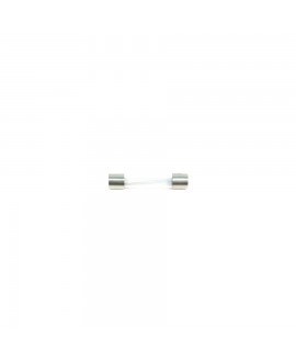 235 Fusibile in vetro 10A