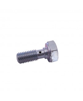 Cylinder head oil passage screw (small hole)
