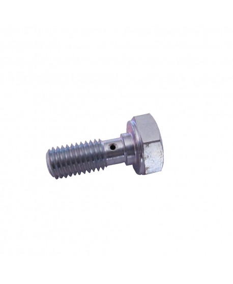 Cylinder head oil passage screw (small hole)