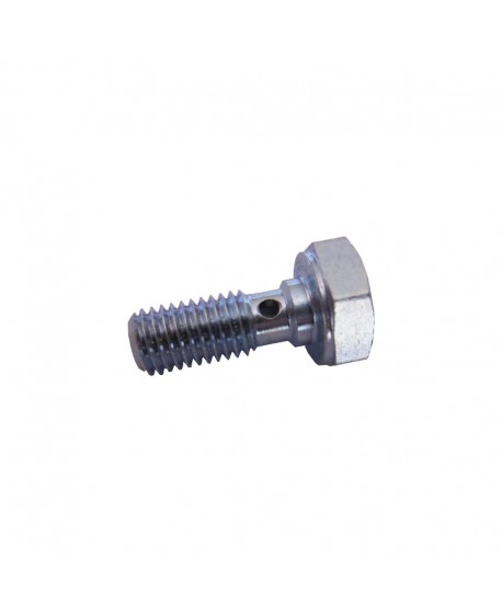 Engine oil passage screw (large hole)