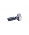 Engine oil passage screw (large hole)