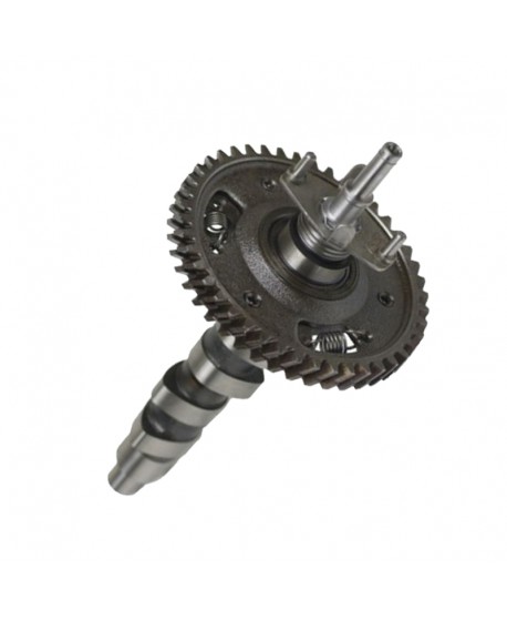 Refurbished complete camshaft for 602cc engine (exchange standard)