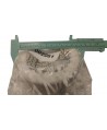 Air filter with mesh,for old model box, 120x90x90h