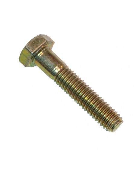 Vite testa esagonale 6x30 (utilizzo leva marce aggancio interno)