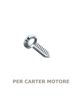 Vite 4,8mm per carter motore  (521,522,523,524) da usare con graffa 5955
