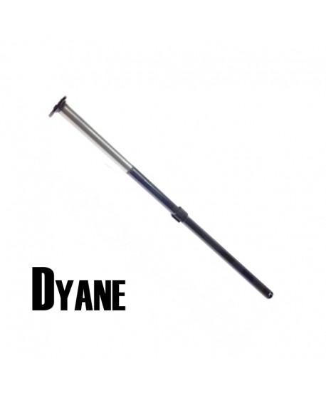 2101 Piantone sterzo Dyane