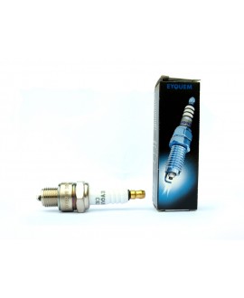 EYQUEM spark plug