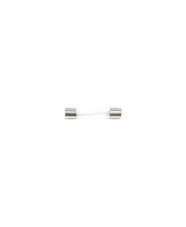 293 Fusibile in vetro 15A