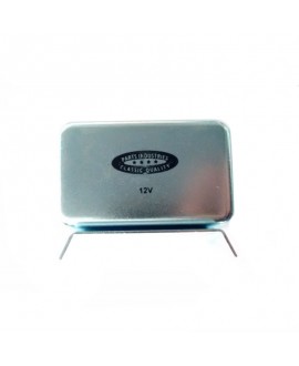 Regolatore tensione elettronico 12V 2cv