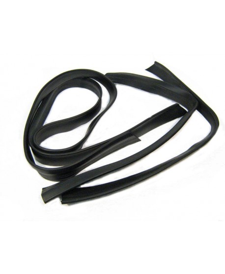 Right rear door seal