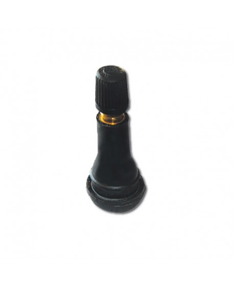 Air valve for tubeless rims